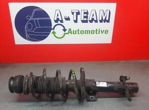 Shock Absorber SEAT IBIZA IV ST (6J8, 6P8), VW POLO (6R1, 6C1), SKODA FABIA II (542), SKODA FABIA II Combi (545)