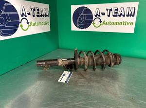 Shock Absorber SKODA FABIA II Combi (545), SKODA ROOMSTER Praktik (5J)