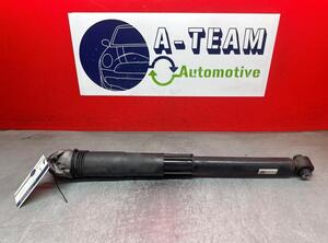 Shock Absorber VW GOLF VII Variant (BA5, BV5)