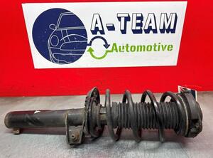 Shock Absorber VW TIGUAN (5N_), VW TIGUAN VAN (5N_)