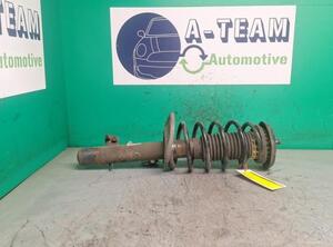 Shock Absorber PEUGEOT 207 (WA_, WC_)