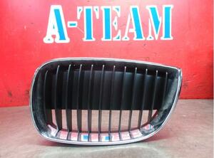 Radiateurgrille BMW 1er (E87)