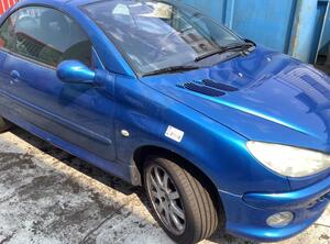 Wing PEUGEOT 206 CC (2D)