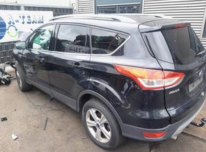 Door FORD Kuga II (DM2)