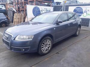 Deur AUDI A6 (4F2, C6)