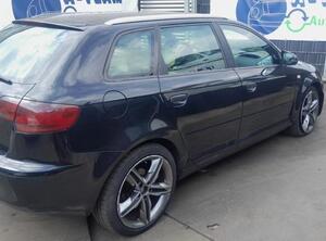 Deur AUDI A3 (8P1), AUDI A3 Sportback (8PA)