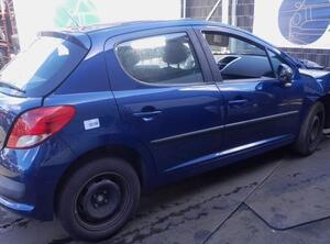 Deur PEUGEOT 207 (WA_, WC_)