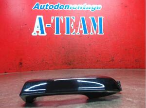 Door Handle VW Polo (AW1, BZ1)