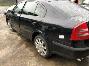 Door Glass SKODA Octavia II (1Z3)