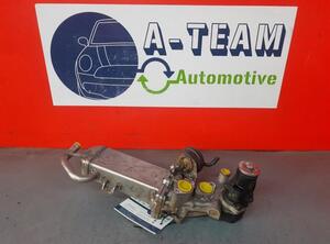 EGR Valve VW Golf V (1K1), VW Golf VI (5K1)