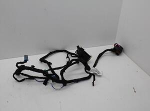 Wiring Harness SAAB 9-5 (YS3G)