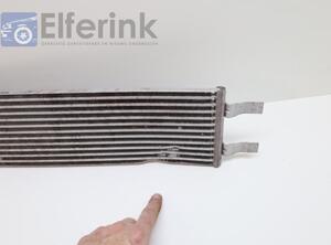 Radiator LYNK &amp; CO 1