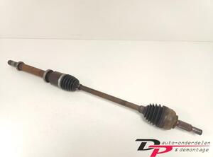 Drive Shaft RENAULT CLIO III (BR0/1, CR0/1), RENAULT CLIO IV (BH_)