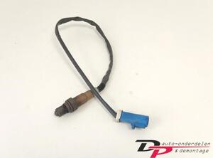 Lambda Sensor / NOx Sensor FORD C-MAX (DM2)