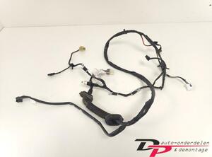 Wiring Harness HYUNDAI i20 (PB, PBT)