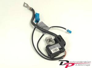 P20753691 Sensor BMW 3er (E90) 61126986795