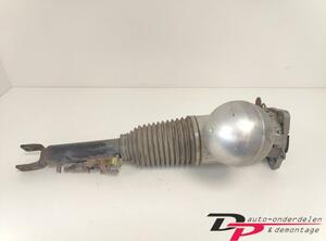 Suspension Strut VW Phaeton (3D1, 3D2, 3D3, 3D4, 3D6, 3D7, 3D8, 3D9)