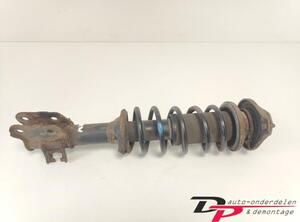 Suspension Strut SUZUKI ALTO (FF)