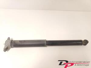 Shock Absorber FORD Kuga II (DM2)