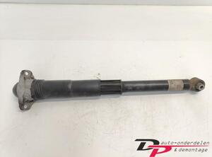 Shock Absorber VW GOLF VII (5G1, BQ1, BE1, BE2)