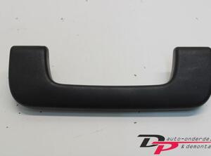 Grab Handle AUDI Q7 (4LB)