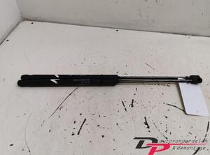 Gas Spring Engine Hood FIAT Stilo (192)