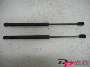 Bootlid (Tailgate) Gas Strut Spring CHEVROLET Aveo/Kalos Schrägheck (T200), DAEWOO Kalos (KLAS)