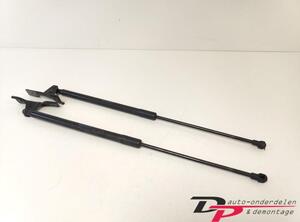 Bootlid (Tailgate) Gas Strut Spring CITROËN C4 Cactus (--)