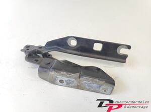 Bonnet Hinge VW GOLF V (1K1), VW GOLF VI (5K1), VW GOLF VI Van (5K1_), VW GOLF VI Variant (AJ5)