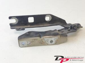 Bonnet Hinge VW GOLF V (1K1), VW GOLF VI (5K1), VW GOLF VI Van (5K1_), VW GOLF VI Variant (AJ5)