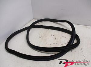 Door Seal VOLVO C30 (533)