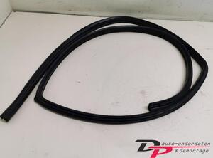 Door Seal MITSUBISHI Grandis (NA W)