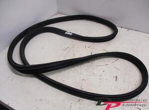 Door Seal OPEL ASTRA H GTC (A04)