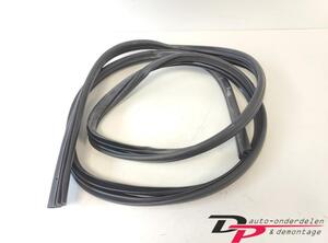 Door Seal NISSAN Qashqai +2 I (J10, JJ10E, NJ10)