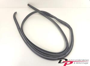 Door Seal TOYOTA Yaris (P13)