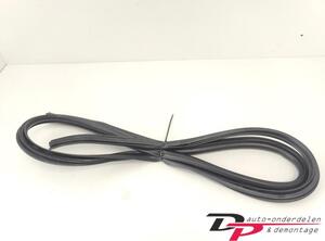 Door Seal TOYOTA Yaris (P13)