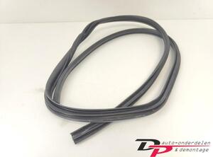 Door Seal TOYOTA Yaris (P13)