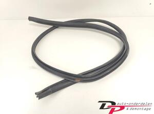 Door Seal TOYOTA Yaris (P13)