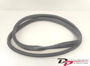 Door Seal RENAULT CAPTUR I (J5_, H5_), RENAULT CLIO IV (BH_), RENAULT CLIO III (BR0/1, CR0/1)