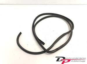 Door Seal HYUNDAI i10 (PA)