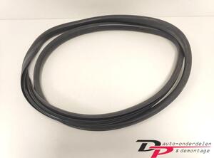 Door Seal RENAULT CLIO IV Grandtour (KH_), RENAULT CLIO III Grandtour (KR0/1_)