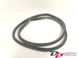 Door Seal RENAULT CLIO IV Grandtour (KH_), RENAULT CLIO III Grandtour (KR0/1_)