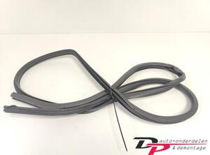 Door Seal NISSAN X-TRAIL (T32_)