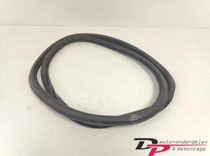 Door Seal VW POLO (6R1, 6C1), VW POLO Van (6R)