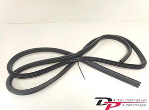 Door Seal NISSAN X-TRAIL (T32_)