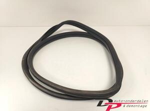 Door Seal RENAULT CLIO III (BR0/1, CR0/1), RENAULT CLIO IV (BH_), RENAULT CLIO II (BB_, CB_)