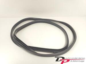 Door Seal RENAULT CLIO III (BR0/1, CR0/1), RENAULT CLIO IV (BH_), RENAULT CLIO II (BB_, CB_)