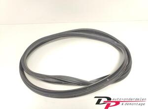 Door Seal RENAULT CLIO III (BR0/1, CR0/1), RENAULT CLIO IV (BH_), RENAULT CLIO II (BB_, CB_)