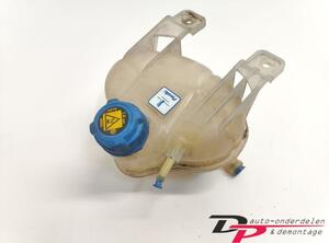 Coolant Expansion Tank FIAT Grande Punto (199), FIAT Punto (199), FIAT Punto Evo (199)