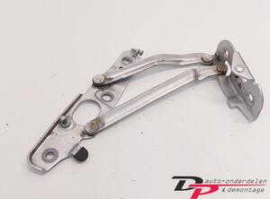 Heckklap hinge AUDI TT Roadster (8J9)